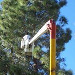 Tree Service Bentonville AR