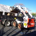 Tree Service Springdale AR 05