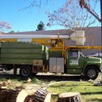 Tree Service Springdale AR 06