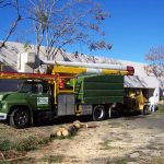 Tree Service Springdale AR 10