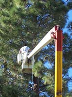 Tree Trimming Bentonville AR