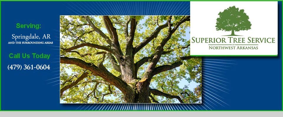 Superior Tree Service Serving Springdale AR, Call Us Today 479-361-0604