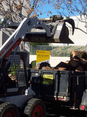 Springdale AR Commercial Tree Service